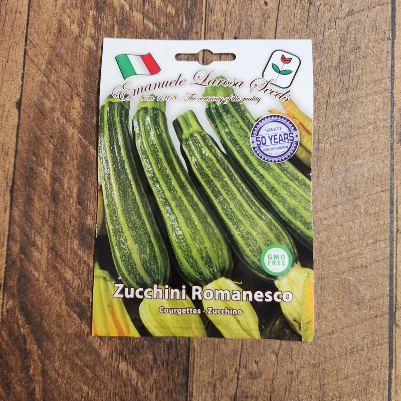 Zucchini 'Romanesco' (Cucurbita pepo)