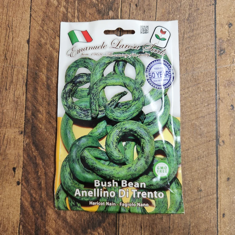 Haricot nain 'Anellino Di Trento' (Phaseolus vulgaris)