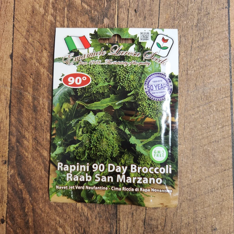 Rapini 'Riccia di San Marzano Novantina' (Brassica rapa)
