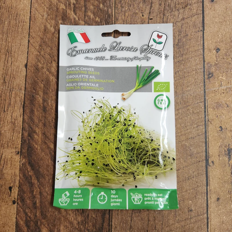 Ciboulette à l’ail à germer (Allium tuberosum)