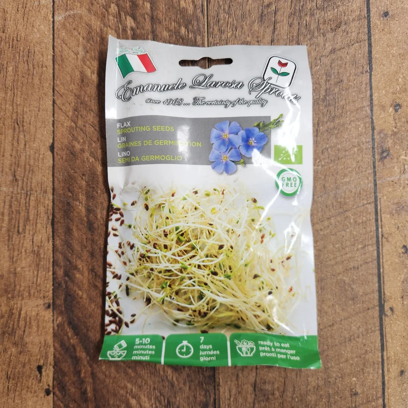 Lin à germer (Linum usitatissimum)