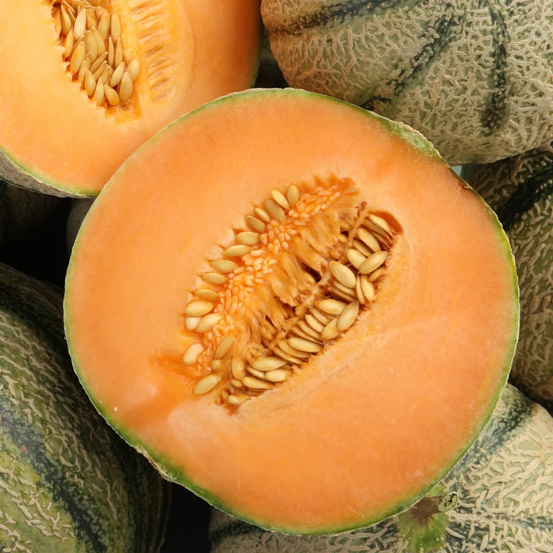 Cantaloup