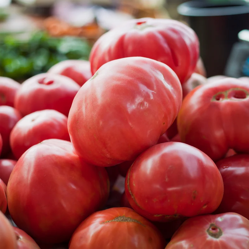Tomate rose Coeur de Boeuf