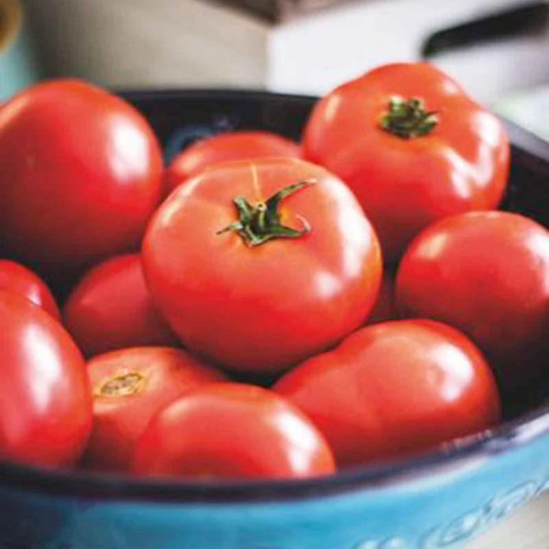 Tomate Moneymaker