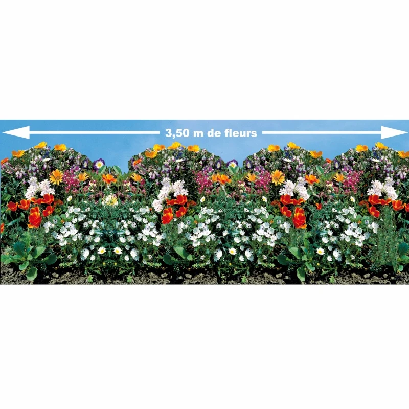 Tapis de graines pour bordures fleuries