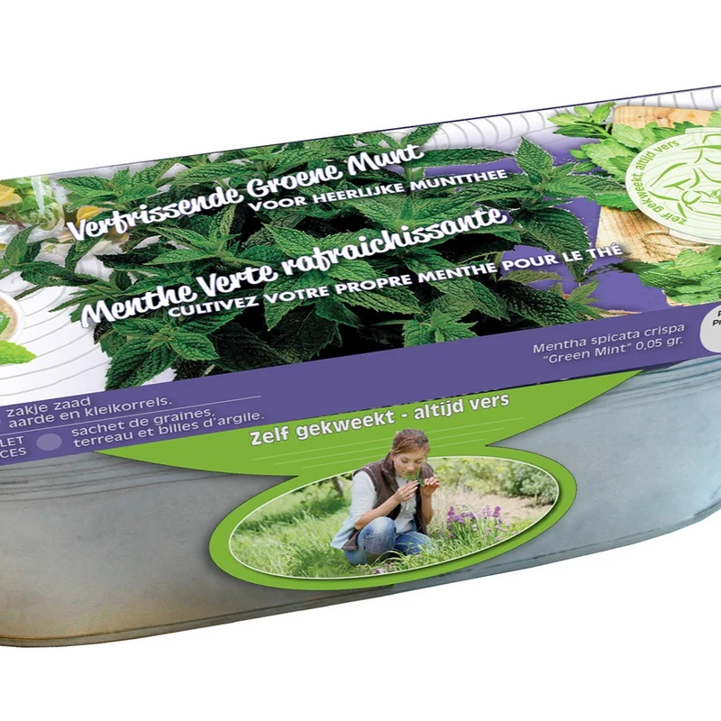 Graines de Menthes crépues et jardinière zinc