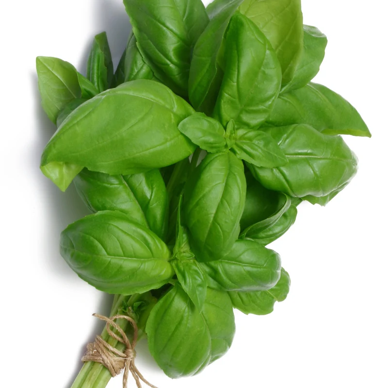 Collection de 4 Plants Aromatiques basilic, ciboulette, persil, thym