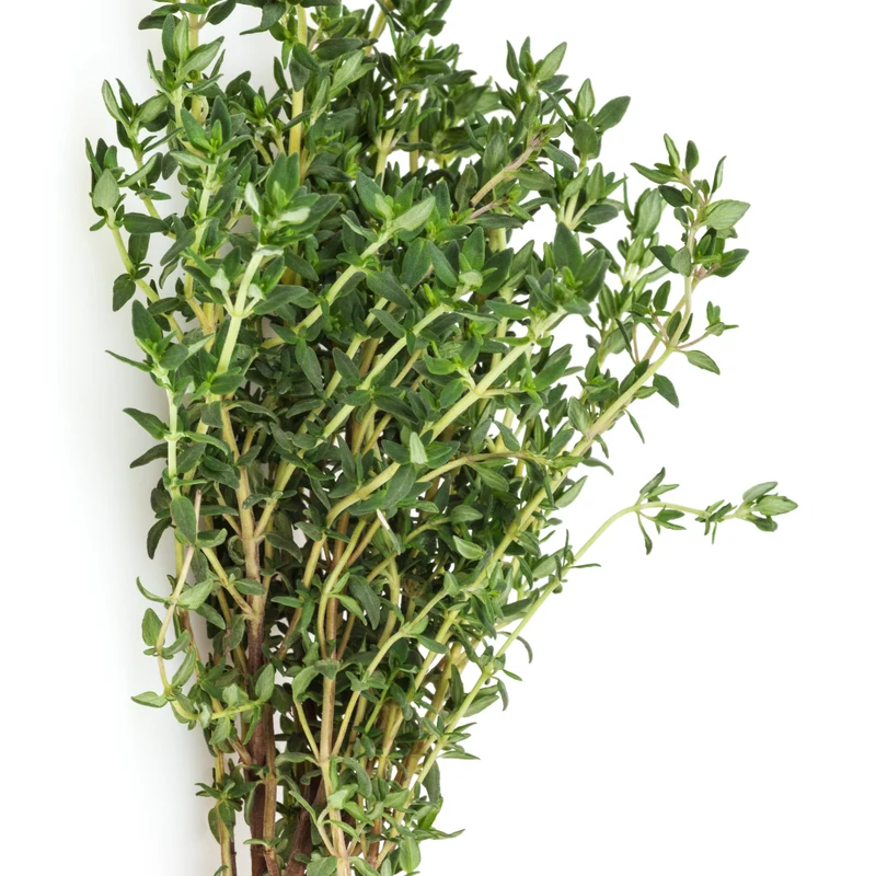 Collection de 4 Plants Aromatiques basilic, ciboulette, persil, thym