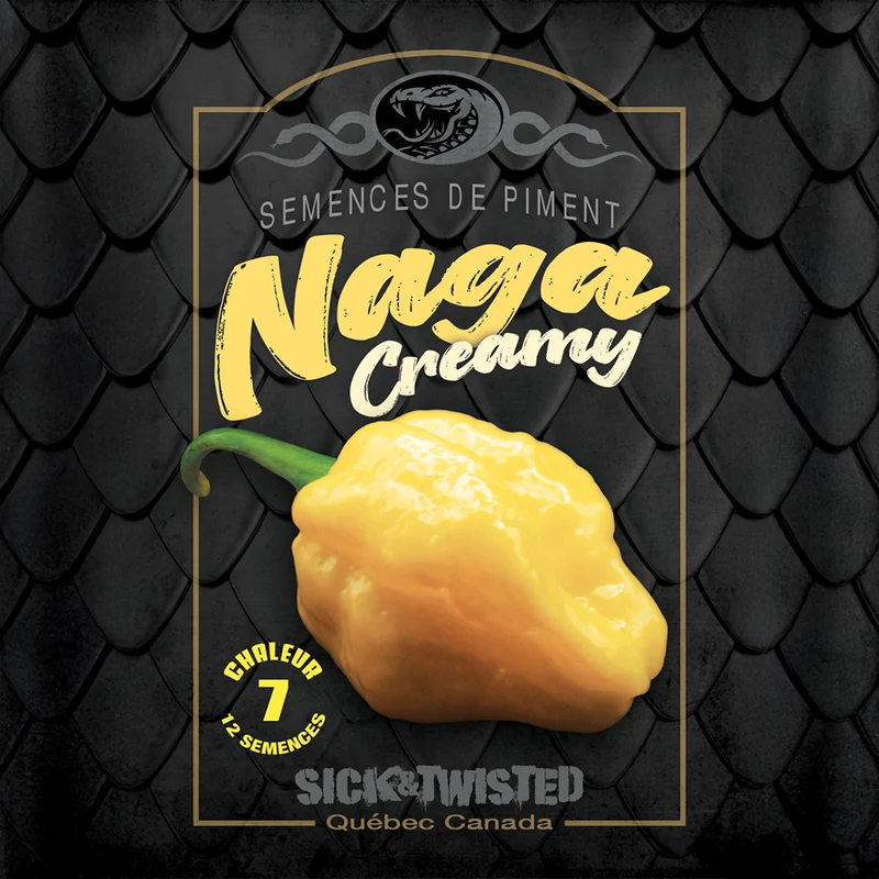 Piment fort ‘Naga Creamy’ ( Capsicum chinense )