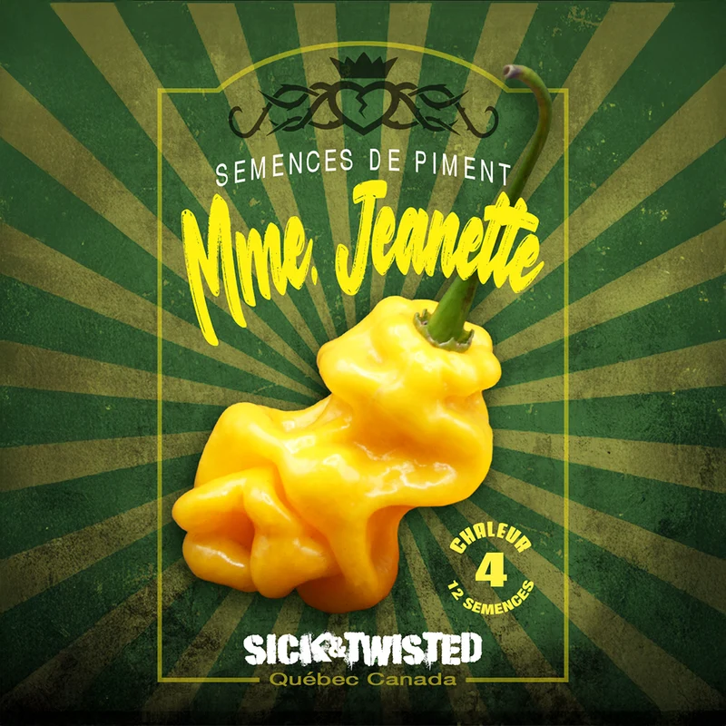 Piment fort ‘Madame Jeanette’ ( Capsicum chinense )
