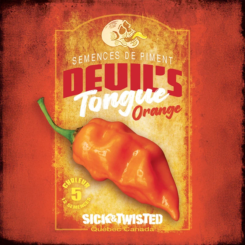 Piment fort ‘Devil's Tongue Orange’ ( Capsicum chinense )