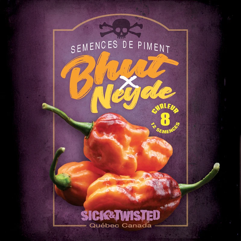 Piment fort ‘Bhut x Neyde’ ( Capsicum spp.)