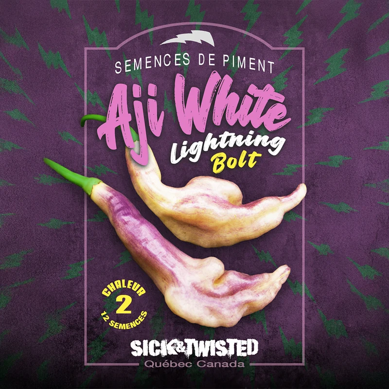 Piment fort ‘Aji White Lightning Bolt’ ( Capsicum baccatum )