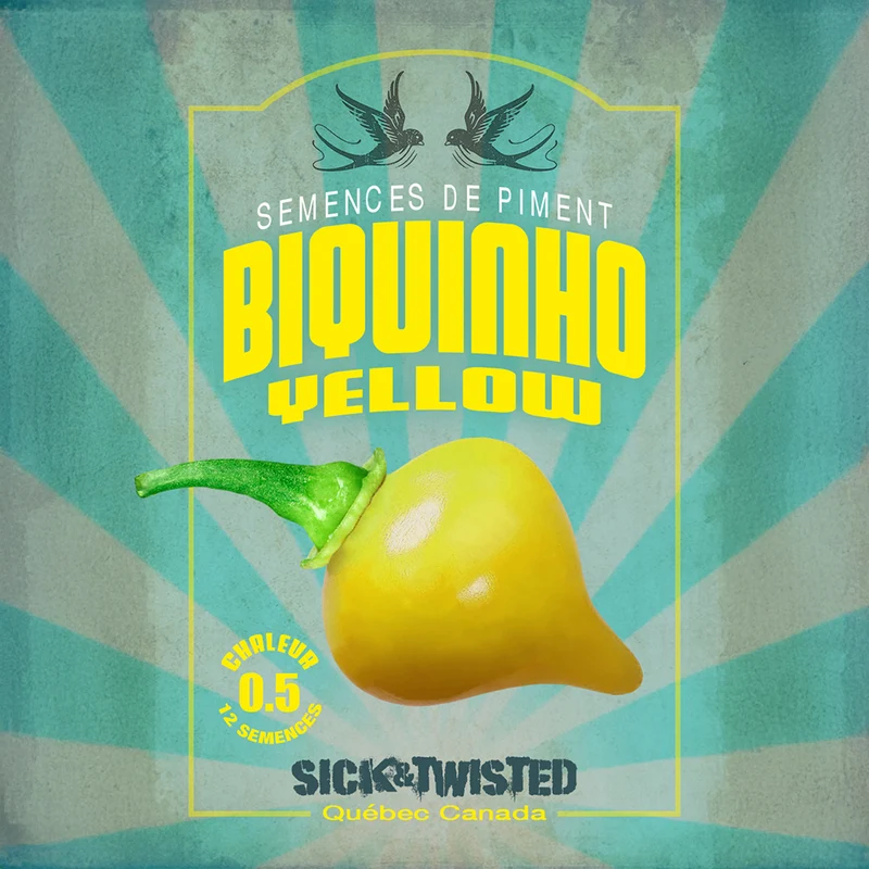 Piment ‘Biquinho Jaune’ ( Capsicum chinense )