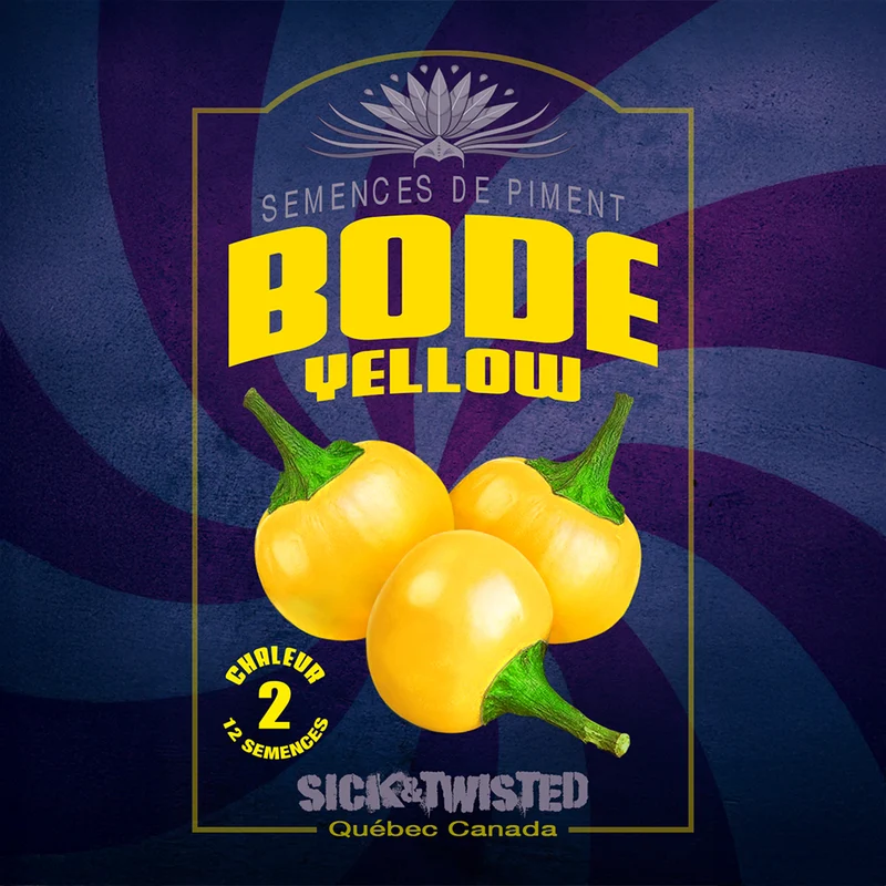 Piment fort ‘Bode Jaune’ ( Capsicum chinense )