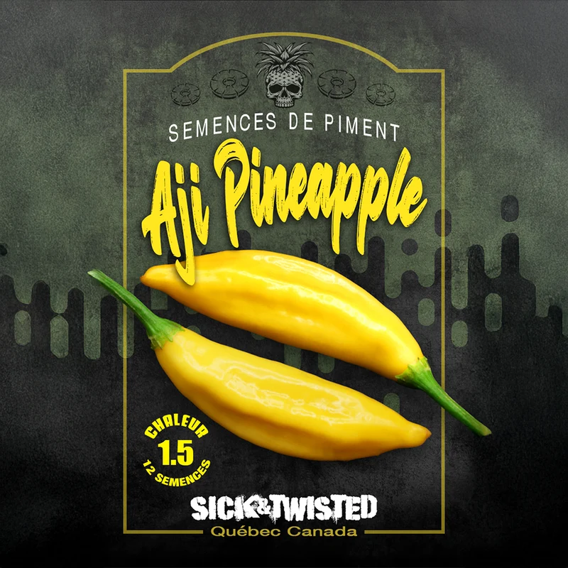 Piment ‘Aji Pineapple’ ( Capsicum baccatum )