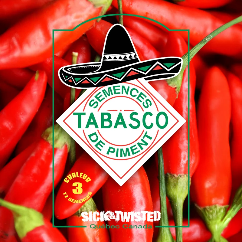 Piment ‘Tabasco’ ( Capsicum frutescens )
