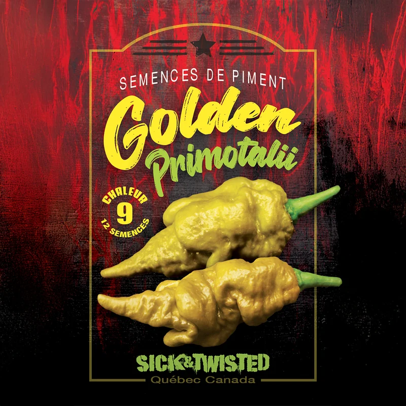Piment fort Primotalii ( Capsicum chinense ‘Primotalii’)