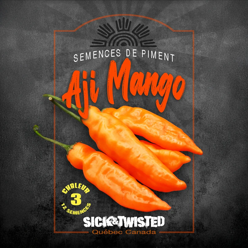 Piment ‘Aji Mango’ ( Capsicum baccatum )