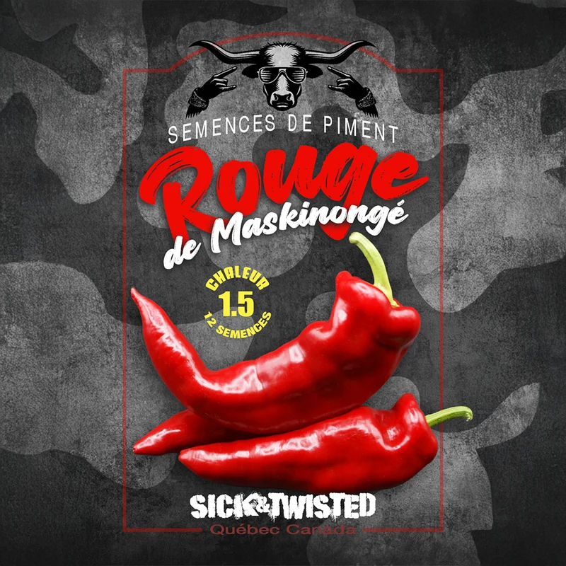 Piment ‘Rouge de Maskinongé’ ( Capsicum annuum )