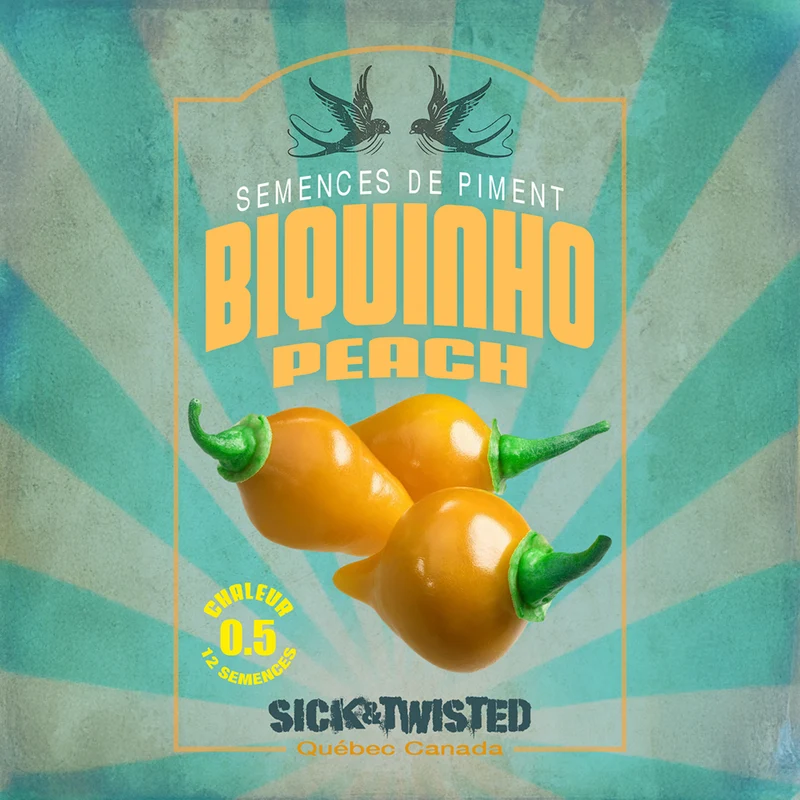 Piment ‘Biquinho Peach’ ( Capsicum chinense )