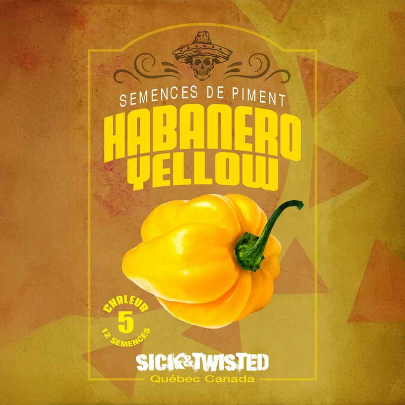Piment ‘Habanero Jaune’ ( Capsicum chinense )