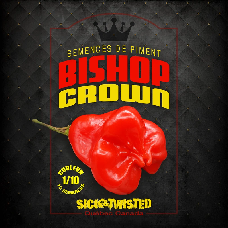 Piment fort ‘Bishop Crown’ ( Capsicum baccatum )