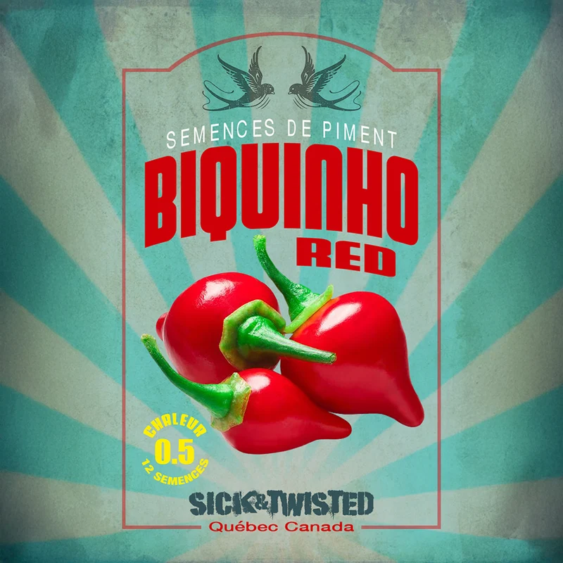 Piment fort ‘Biquinho Rouge’ ( Capsicum chinense )