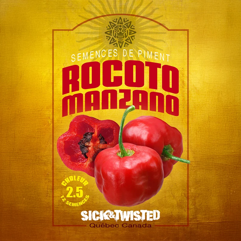 Piment fort ‘Rocoto Manzano’ ( Capsicum pubescens )