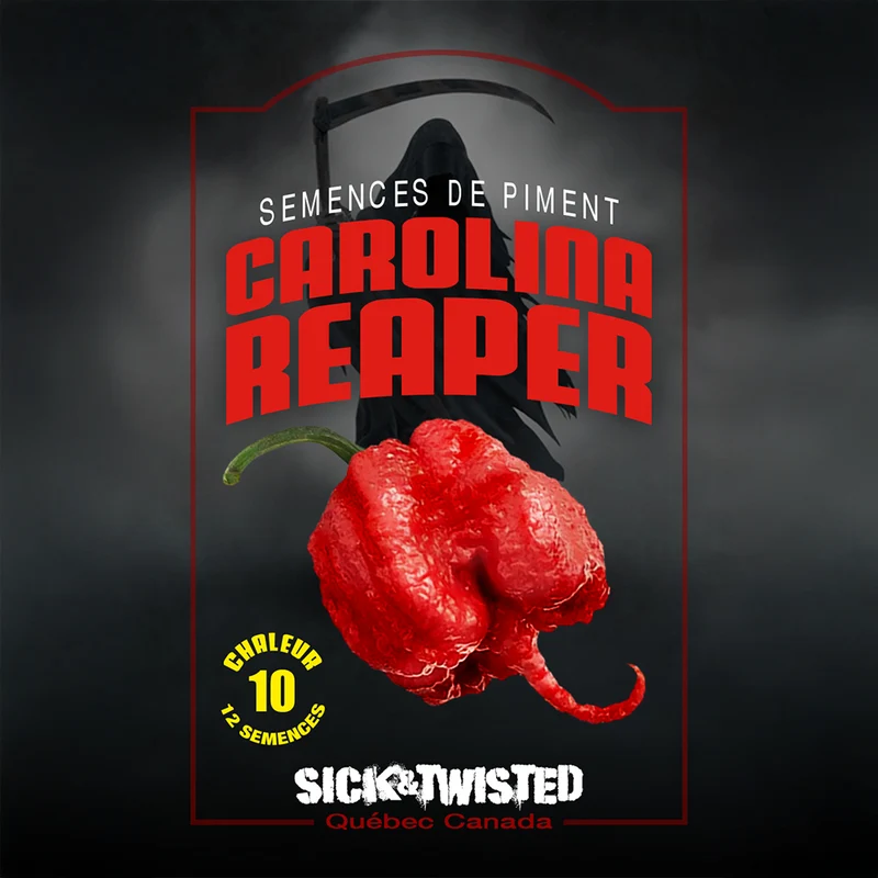 Piment fort ‘Carolina Reaper’ ( Capsicum chinense )