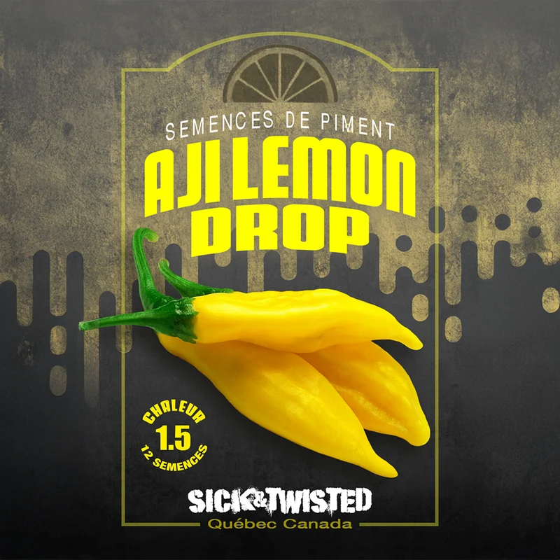 Piment fort ‘Aji Lemon Drop’ ( Capsicum baccatum )