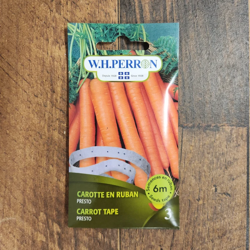 Carotte sur ruban ( Daucus carota ‘Presto’)