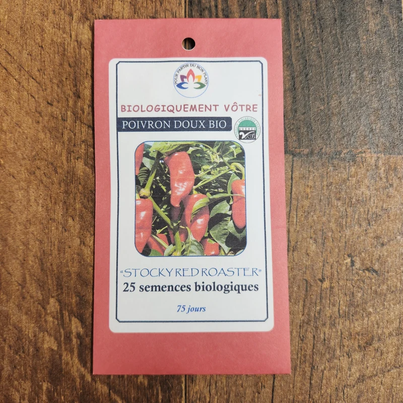 Poivron doux ‘Stocky Red Roaster’ bio ( Capsicum annuum )