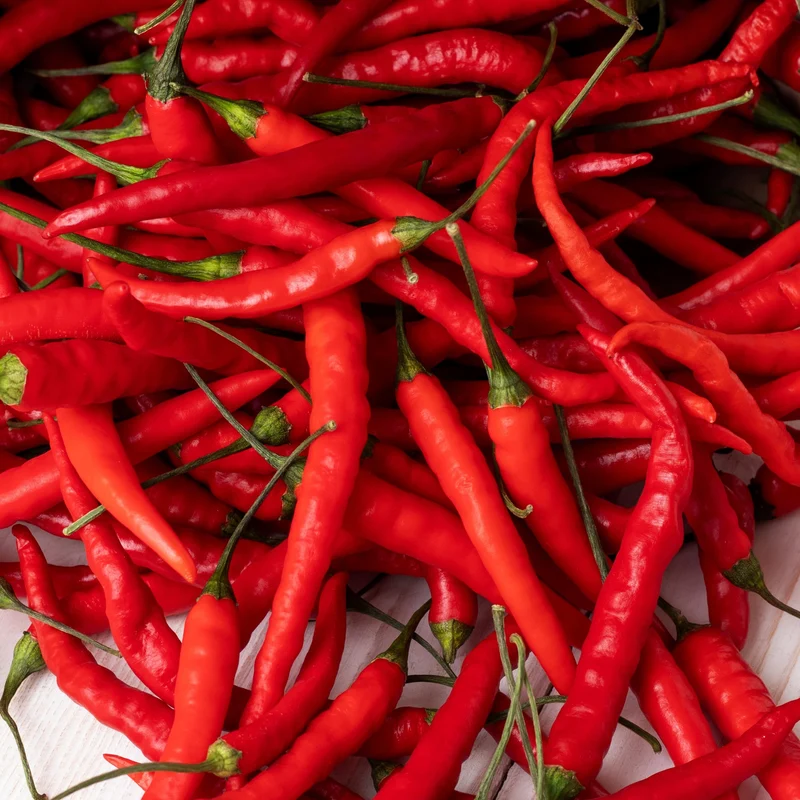 Piment fort ‘Aci Sivri’ bio ( Capsicum annuum )
