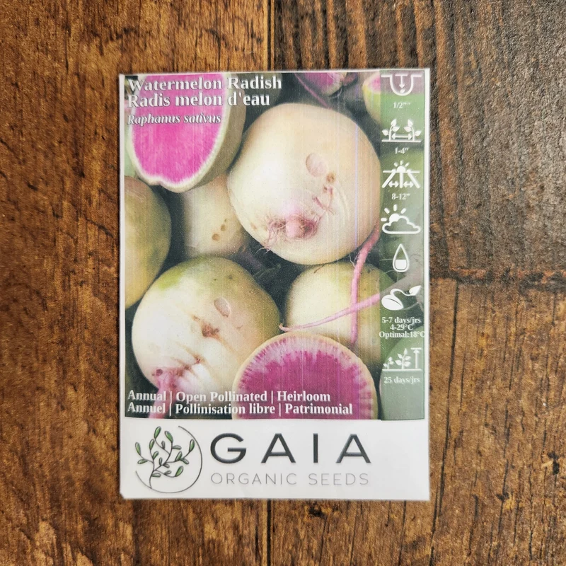 Radis 'Melon d'eau' bio