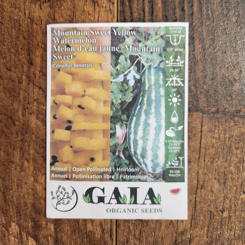 Melon d'eau 'Mountain Sweet Yellow' bio