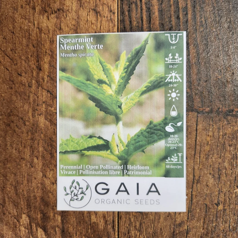 Menthe verte bio