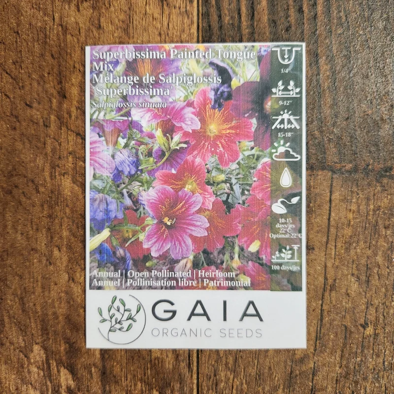 Mélange de Salpiglossis 'Superbissima' bio