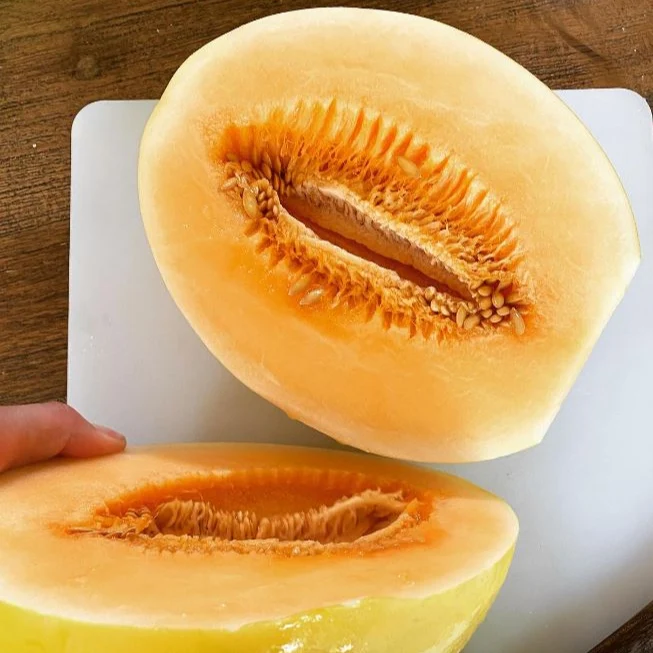 Melon miel à chair orange bio