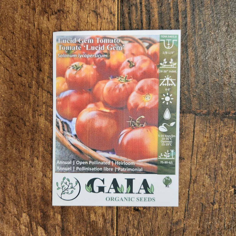 Tomate 'Lucid Gem' bio