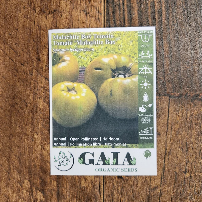 Tomate 'Malachite Box' bio