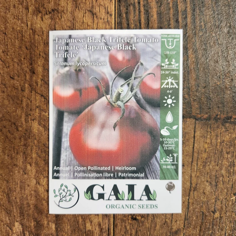 Tomate 'Japanese Black Trifele' bio