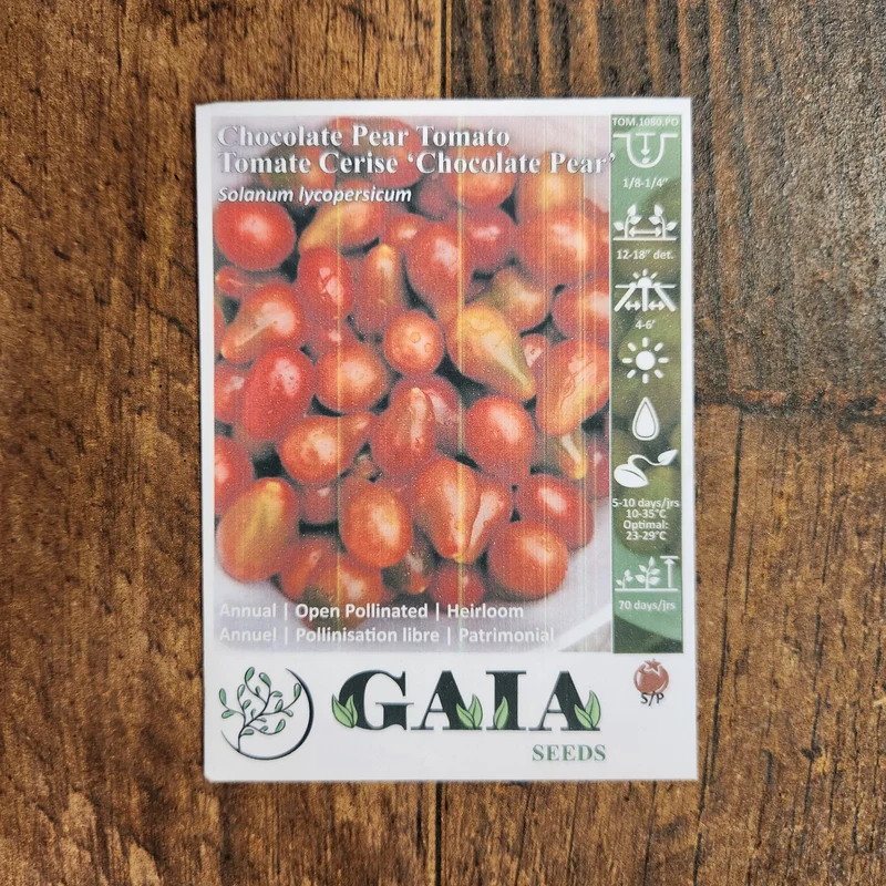 Tomate Cerise 'Chocolate Pear' bio
