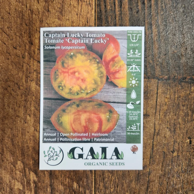 Tomate 'Captain Lucky' bio