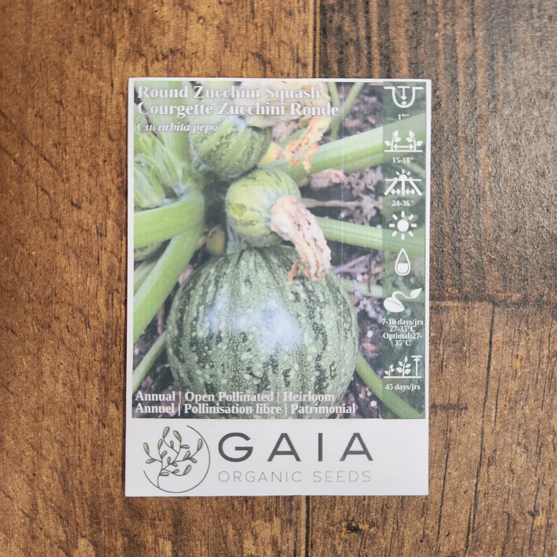 Zucchini vert rond bio