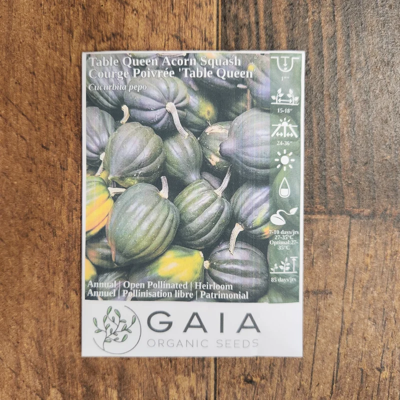 Courge poivrée 'Table Queen' bio