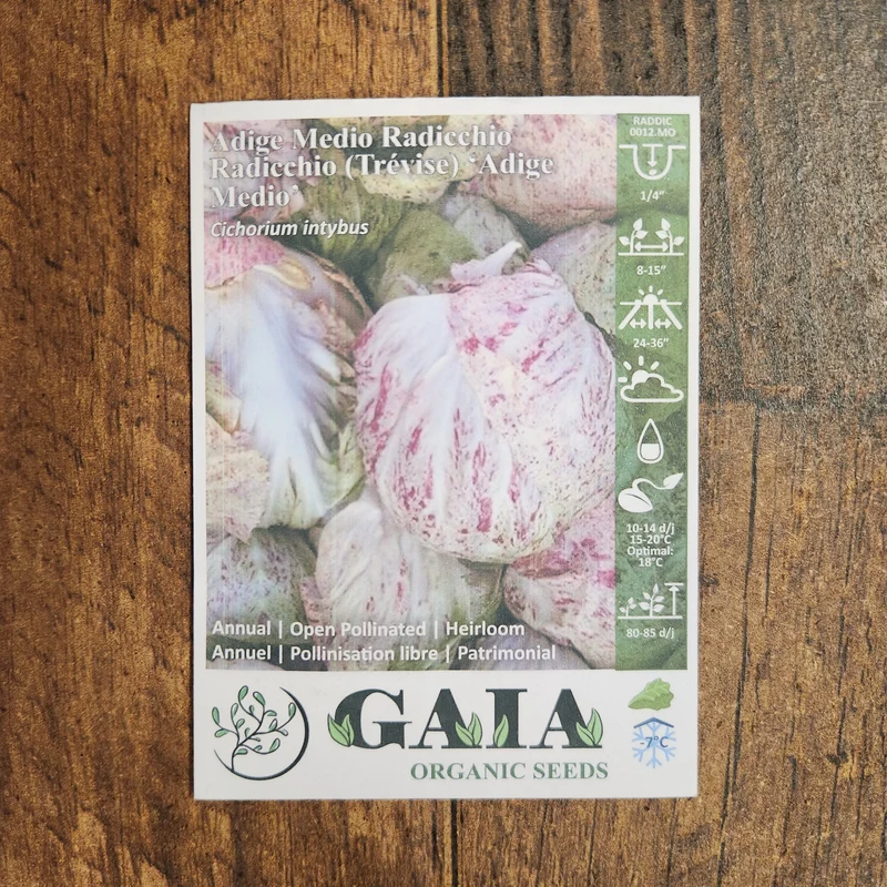 Radicchio 'Adige Medio' bio