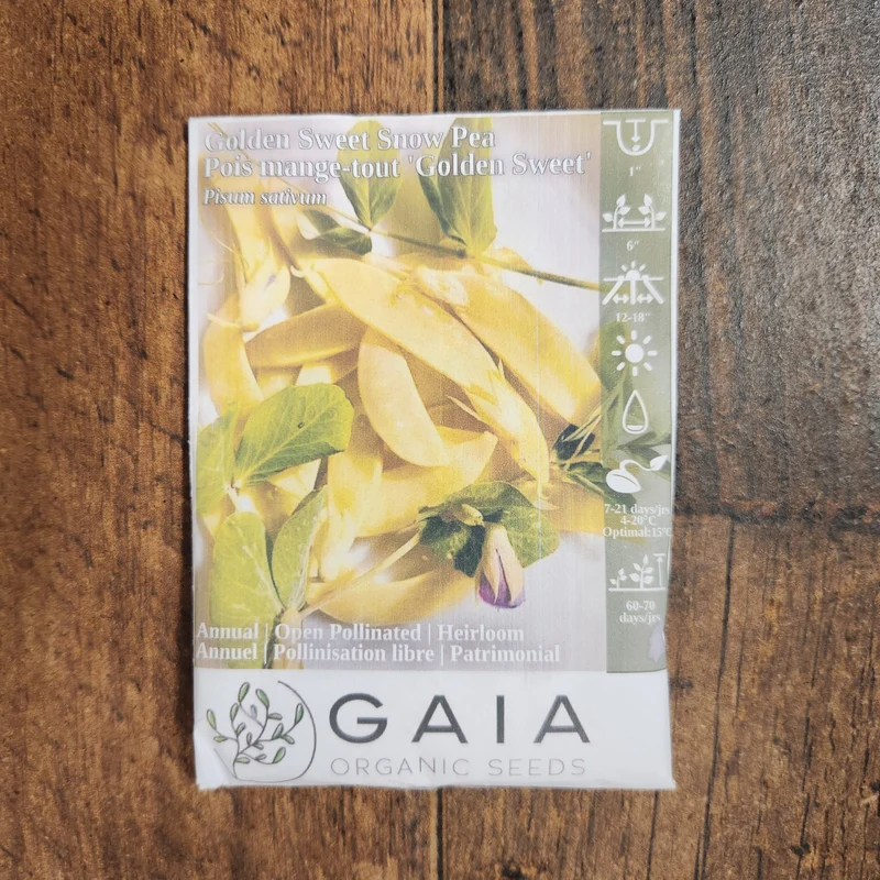 Pois mange-tout 'Golden Sweet' bio