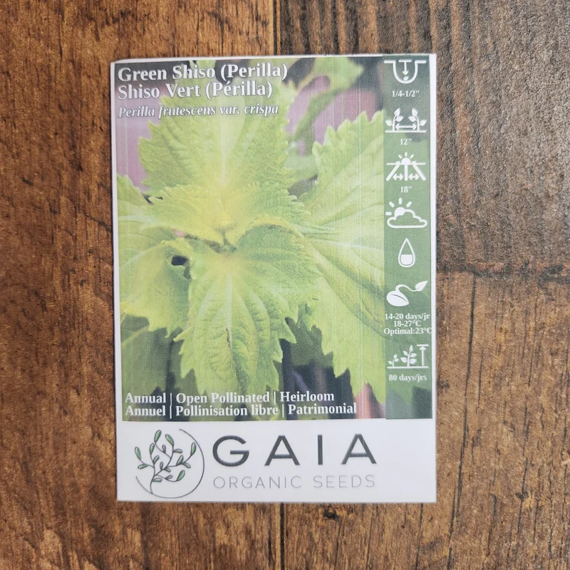 Shiso vert bio