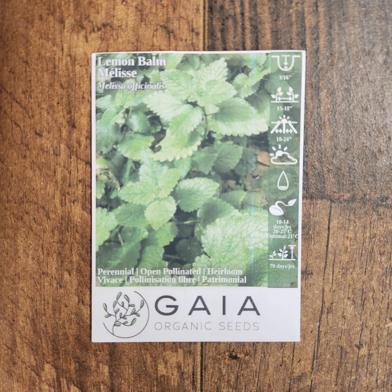 Mélisse 'Lemon Balm' bio